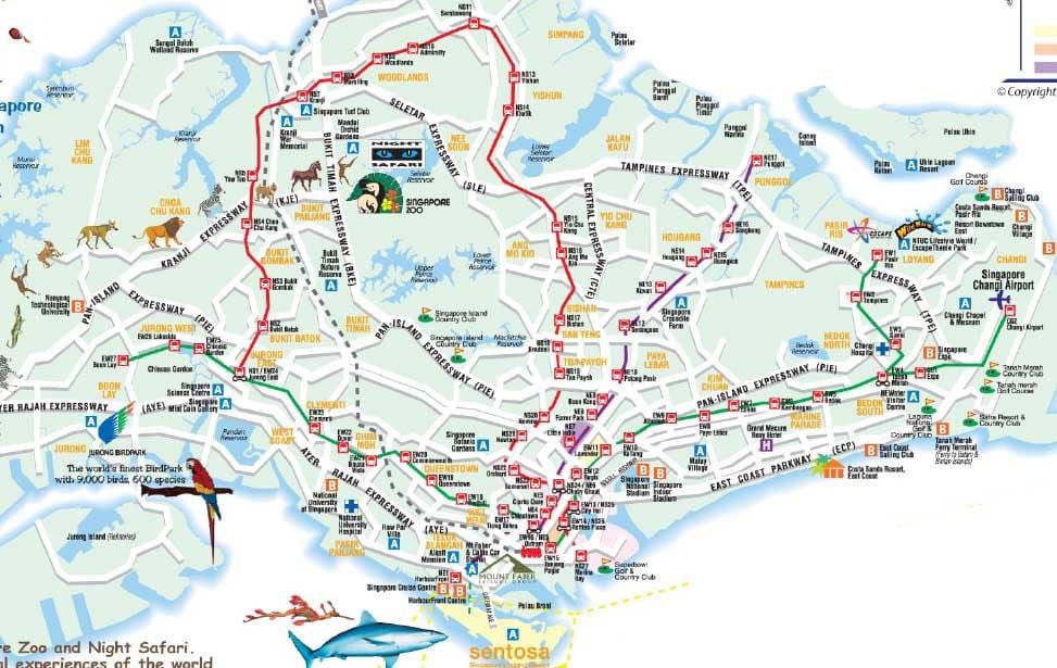 Singapur yol haritası