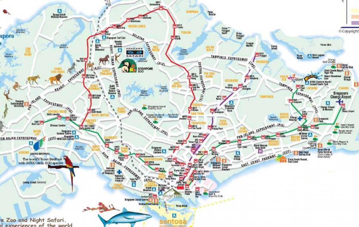 Singapur yol haritası