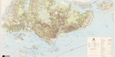 Singapur haritası topografik
