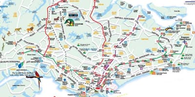 Singapur yol haritası